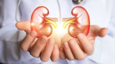 Kidney Health and Kidney Test: All About Keeping Kidneys Fit and Fine