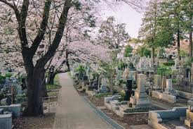 Rock Concerts, Beehives, and Bad Art: How Cemeteries Are Becoming America’s Hottest Community Spaces